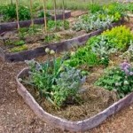 permaculture