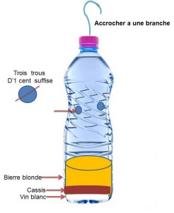 Piège à frelons